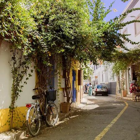 The Sunset * 塔维拉